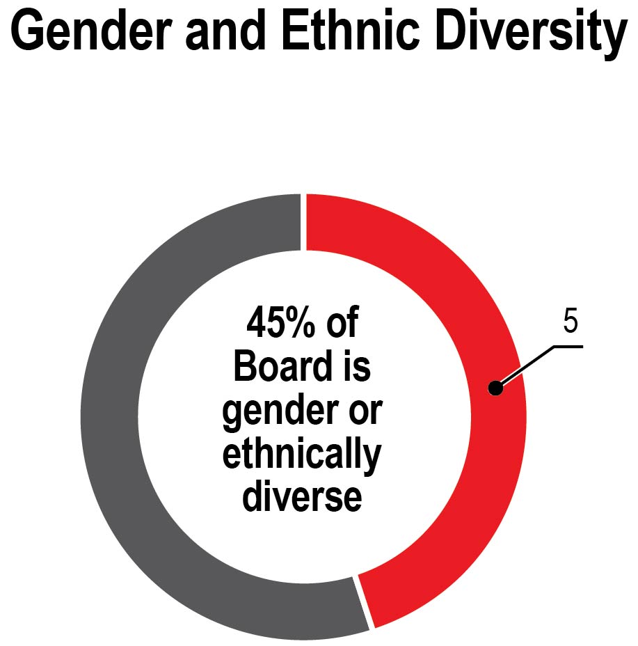 genderethnicdiversity.jpg